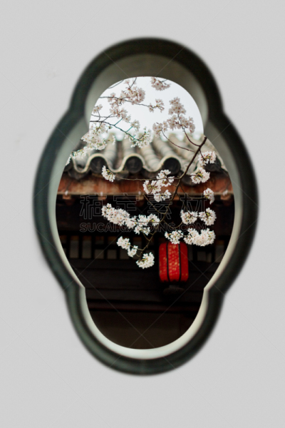 墙,远古的,垂直画幅,水,美,樱花,无人,美人,户外,植物