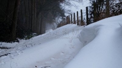 雪,小路,天空,气候,水平画幅,水的各种形态,无人,户外,边界,树林