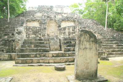金字塔,墨西哥,坎佩切湾州,尤卡坦州,簇叶从生的,台阶,古代文明,水平画幅,无人,热带雨林