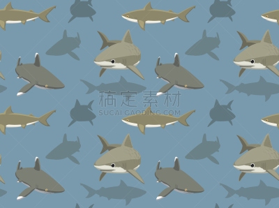 鲨鱼,壁纸,bull shark,玩具鲨鱼,海洋白尖鲨,虎鲨,虎,可爱的,多样,野生动物