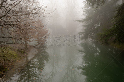 雾,森林,托伦特,vernal pools,沼,自来水,水,水平画幅,无人,运河