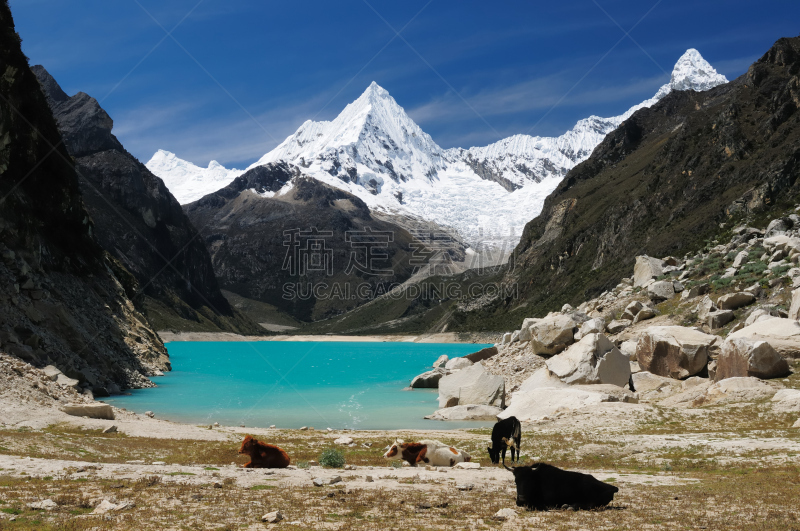 科迪勒拉山脉,秘鲁,南美,水,天空,水平画幅,雪,无人,岩层,户外