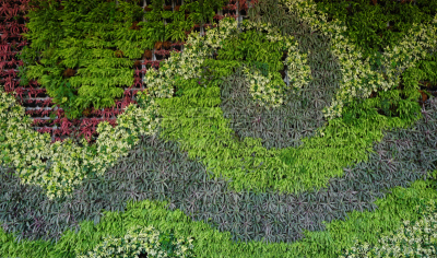 直立式花园,多样,植物学,垂直画幅,外立面,水平画幅,墙,无人,特写,树荫