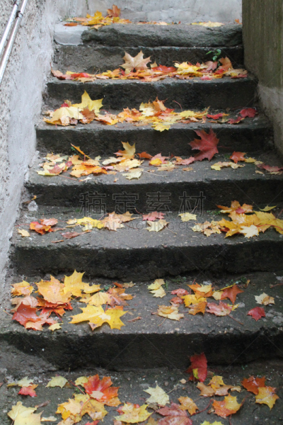 自然,垂直画幅,天空,利河,芳香的,雪,早晨,纯净,夏天,草