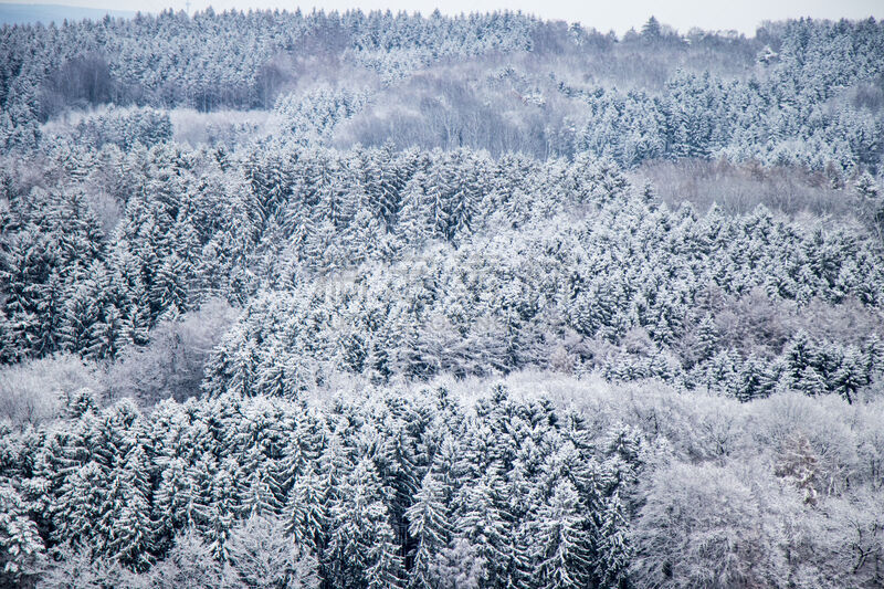 麻省理工学院,水平画幅,高视角,纹理效果,套色版,雪,无人,下萨克森,户外