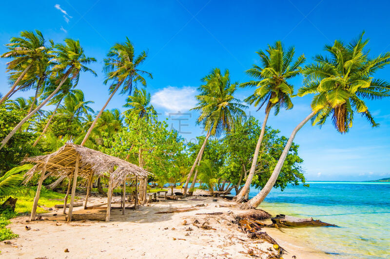 棕榈树,岛,法属玻利尼西亚,鸡尾酒,水,天空,raiatea island,沙子,夏天,海滩