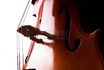 大提琴,白色背景,褐色,作曲家,弦乐器,水平画幅,管弦乐队,错觉,小提琴,图像