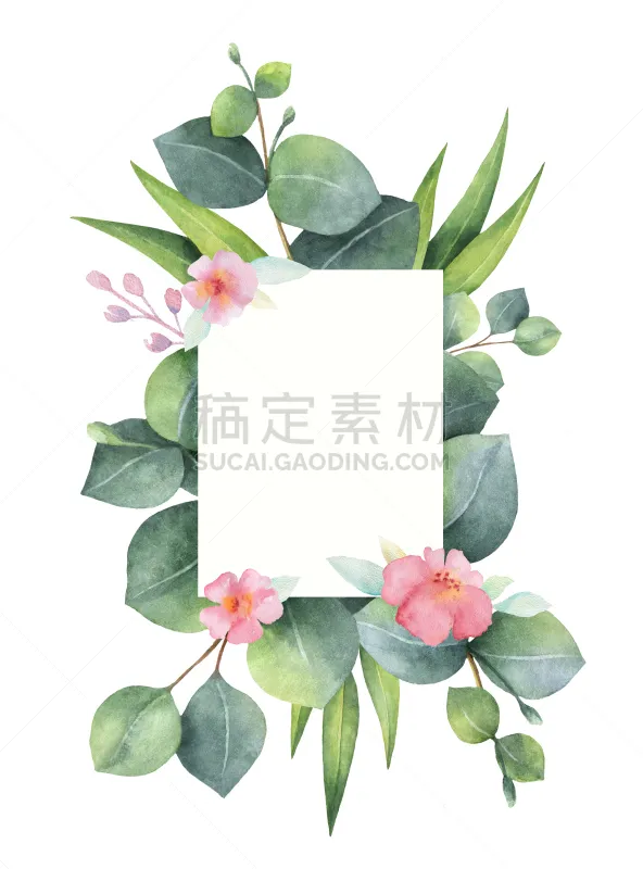 贺卡 绿色 桉树 粉色 水彩画 仅一朵花 花纹 白色背景 分离着色 手工着色图片素材下载 稿定素材