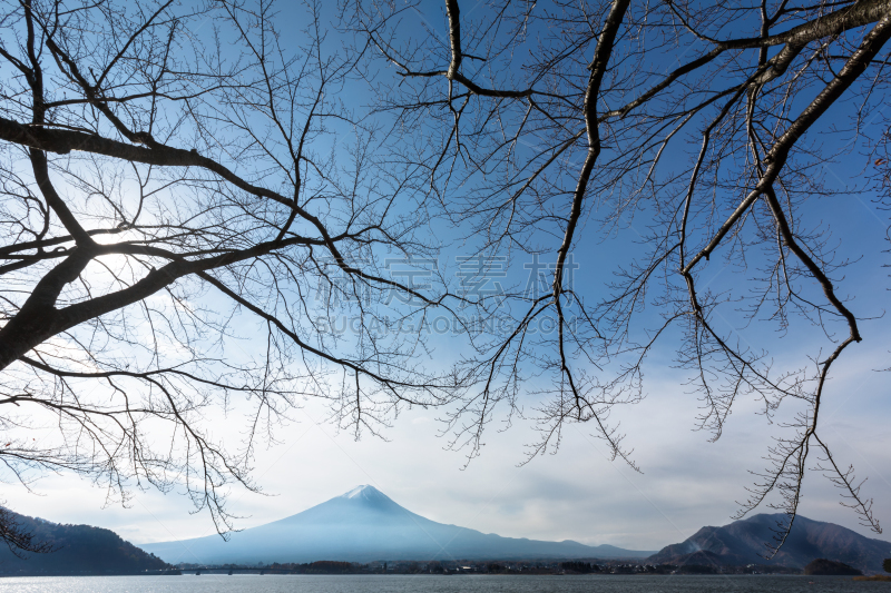 公园,富士河口湖,河口湖,富士山,自然,天空,里山,水平画幅,地形,秋天