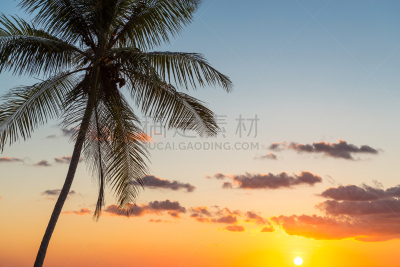 棕榈树,哥斯达黎加,水,曙暮光,夏天,海滩,热带气候,风景,巴西,黑云压城