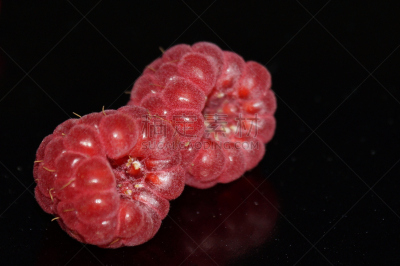 覆盆子,红辣椒,水平画幅,素食,无人,生食,维生素,甜点心,植物,彩色图片