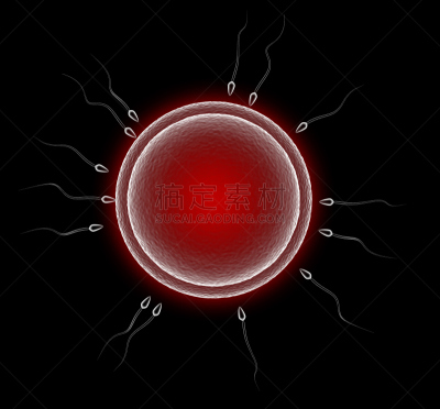 新生活,生物科技,水平画幅,微生物学,无人,精子,符号,科学实验,科学,组物体