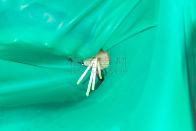 特写,现代,技术,根部,牙齿,药,口腔卫生,概念,充满,清洗