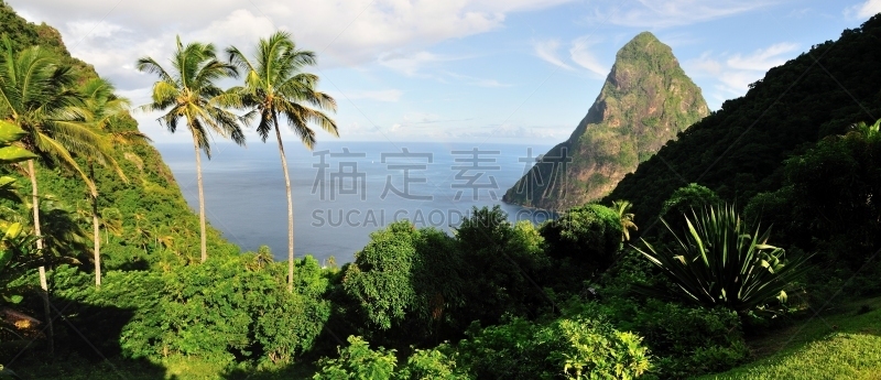 棕榈树,尖峰,珀蒂尖峰,圣卢西亚,天空,水平画幅,地形,岩石,无人,全景