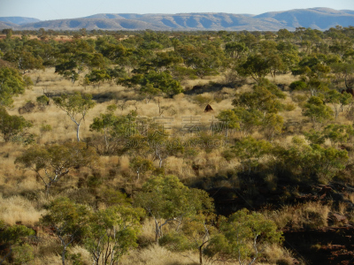 the pilbara,西澳大利亚,三齿稃,露面闲谈,偏远地区,观测点,澳大利亚,水平画幅,无人,户外