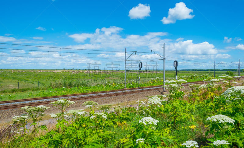 夏天,国家公园,科尼卡野马,东法尔德斯普拉森,福力沃兰,铁轨轨道,芦苇,天空,水平画幅,云