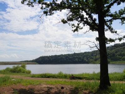 银行,湖,华来士,高大的,一只动物,水,天空,水平画幅,云,夜晚