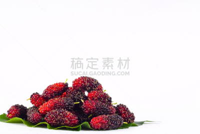 健康食物,红色,桑椹,水果,清新,食品,黑色,熟的,白色背景,未成熟的