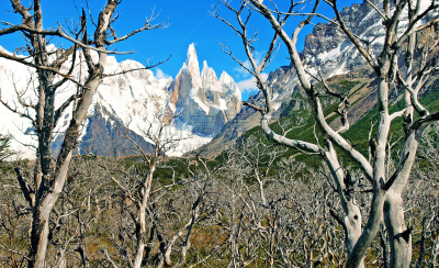 塞若·托瑞山,南美,巴塔哥尼亚,地形,自然美,费兹罗山,百内犄角双峰,天空,水平画幅,雪