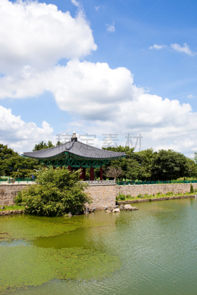 池塘,庆州市,宫殿,季节,垂直画幅,世界遗产,云,图像,草,著名景点
