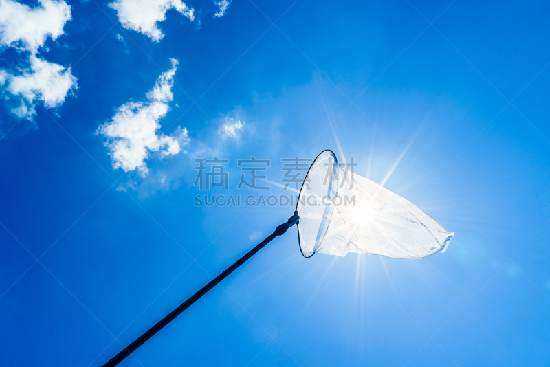 蝴蝶网,网,天空,昆虫,航拍视角,海洋,自由式滑雪空中技巧,编队飞行,陷阱,个人随身用品