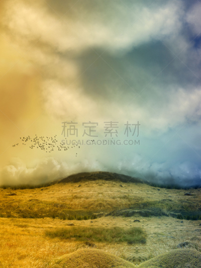 地形,幻想,垂直画幅,天空,公主,月亮,鸟类,户外,草,云景