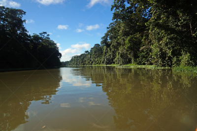 tortuguero national park,海峡,里蒙省,哥斯达黎加,自然,南美,野生动物,美国,水平画幅,无人