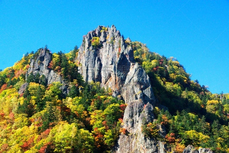 秋天,丹姆,札幌,北海道,温泉,水平画幅,枫叶,无人,枫树,晕影效果