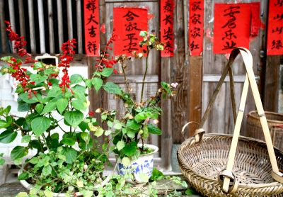 房屋,后院,外立面,传统,土楼,蒂卢,客家族,福建省,水平画幅,无人