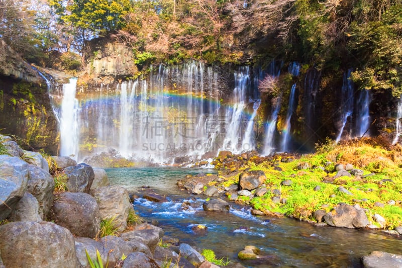 瀑布,shiraito falls,przewalski,彩虹,富士山,自然,水平画幅,无人,日本,户外