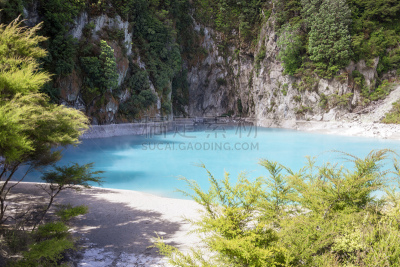 湖,waimangu thermal park,火山,酸,湿,国内著名景点,热,著名景点,炙,植物