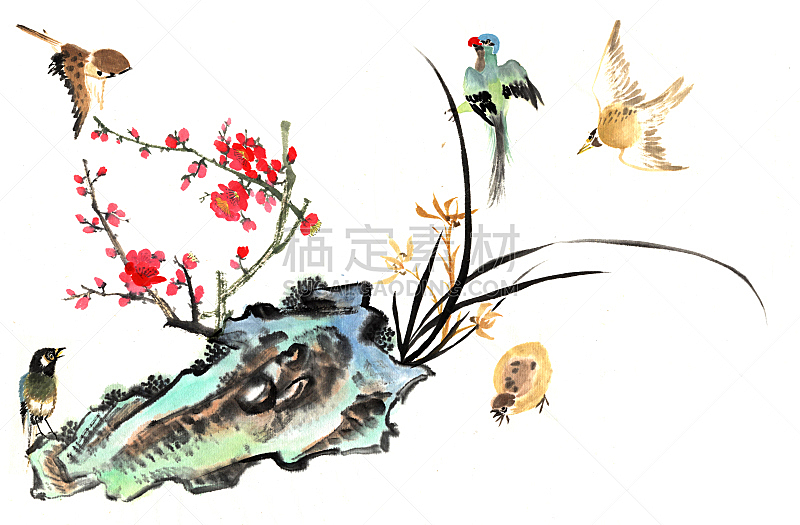 传统,兰花,水平画幅,绘画插图,鸟类,古老的,墨水,古典式,夏天