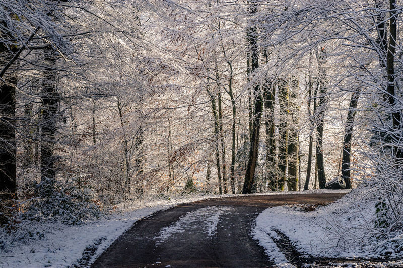 雪,冬天,城镇,户外,弗赖堡,森林,平衡折角灯,平衡,太阳,树