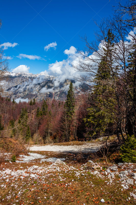 特里格拉夫国家公园,湖,山脉,波悉尼,julian alps,垂直画幅,水,无人,鸟类,户外