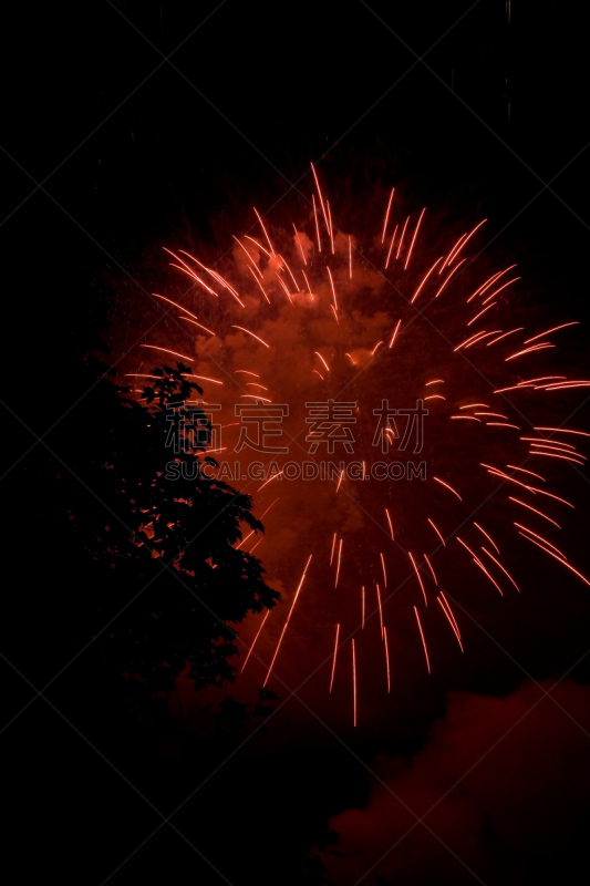 放焰火,巴士底,巴士底日,垂直画幅,夜晚,光,国内著名景点,七月,法国,摄影