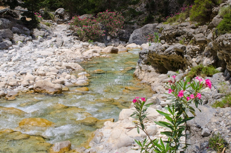 克里特岛,希腊,小溪,萨马利亚峡谷,水,沟壑,水平画幅,湿,夏天,户外