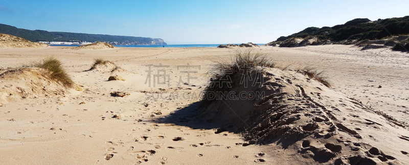 海滩,特拉华,加的斯,风,休闲活动,水平画幅,沙子,无人,夏天,户外