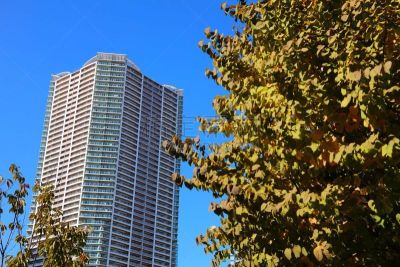 建筑外部,中央区,新宿区,办公室,留白,城镇景观,水平画幅,东亚,都市风景,经济