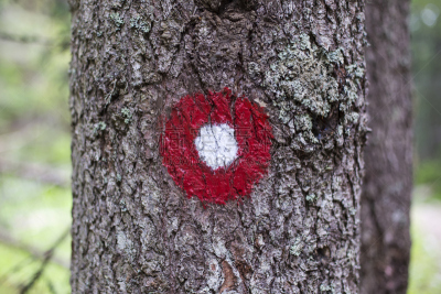 拓野运动,水平画幅,导游,符号,夏天,数据,户外,方向,徒步旅行,红色