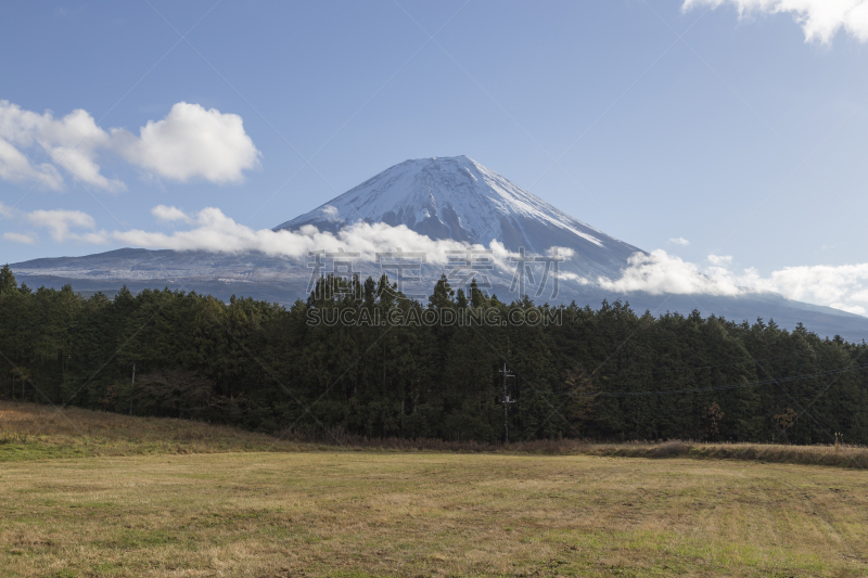 山,富士山,秋天,日本,水平画幅,早晨,旅行者,湖,鸡爪枫,著名景点