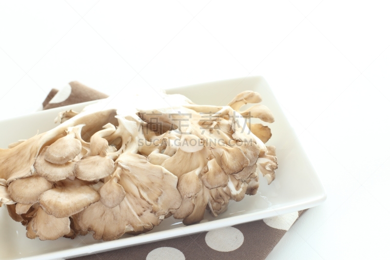 舞茸蘑菇,成分,餐具,留白,水平画幅,无人,白色背景,影棚拍摄,食用菌,静物