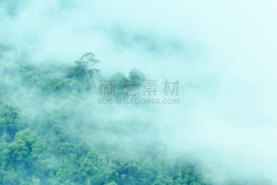 婆罗洲岛,沙巴州,热带雨林,京那巴鲁山国家公园,哥打基纳巴卢,亚马逊雨林,气候,水平画幅,无人,户外