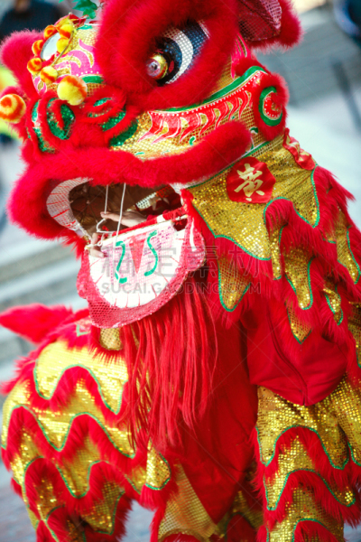 狮王,舞龙,狮子舞蹈,垂直画幅,旅游目的地,龙,传统节日,演出服,亚洲,节日