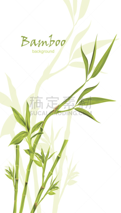 笋,背景,绿色,留白,动物手,危险路段标志,竹子,熊猫,请柬,贺卡