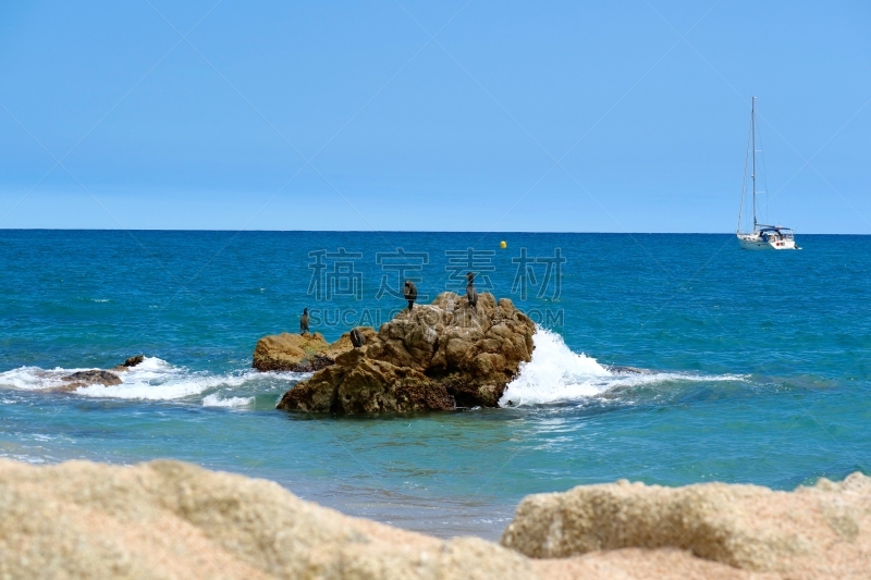 海滩,自然美,保尔,加泰隆尼亚,水平画幅,沙子,岩石,蓝色,巴塞罗那,鸟类