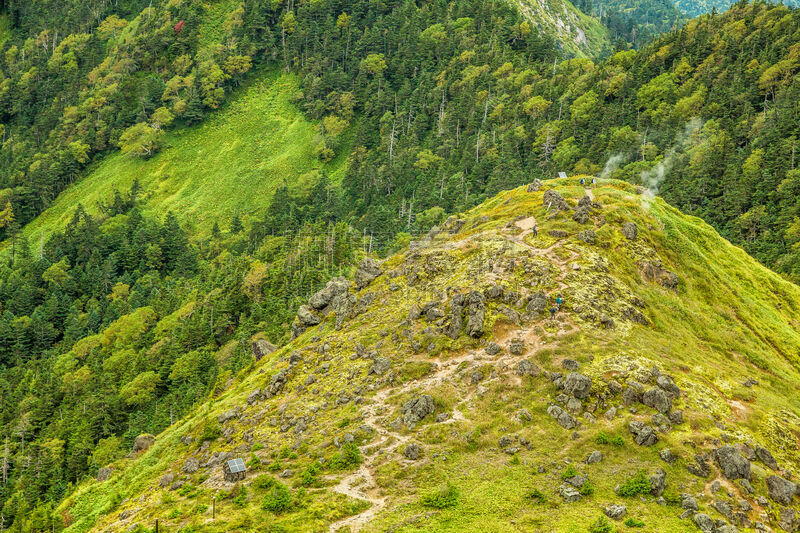 山,拖车场,烧岳,中部山岳国立公园,飞驒山脉,竹子叶,留白,休闲活动,水平画幅,健康