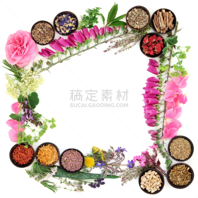 草药,边框,毛地黄,无人,榭寄生,健康,顺势医学,花束,植物,熏衣草