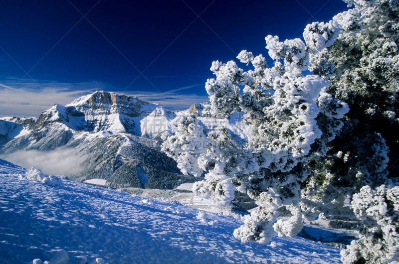 the vercors,宏伟,自然,天空,水平画幅,雪,无人,户外,雪堆,自然美