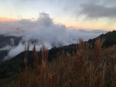 考艾岛,夏威夷,冬天,外米亚峡谷,太平洋岛屿,云,图像,草,美国,无人