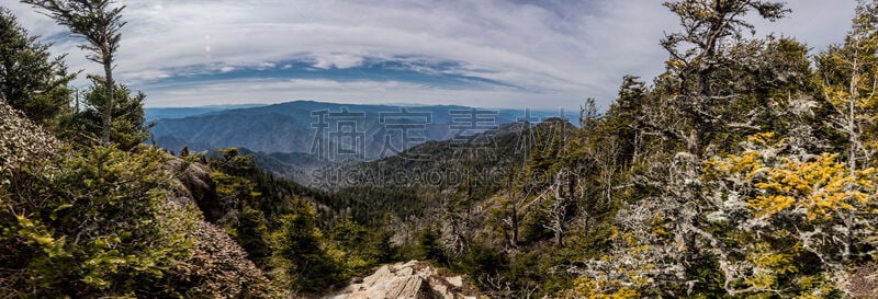 勒孔特山,看风景,格托林伯格,烟囱岩,森林火灾,田纳西,大烟雾山脉,阿巴拉契亚山脉,苔藓,一月